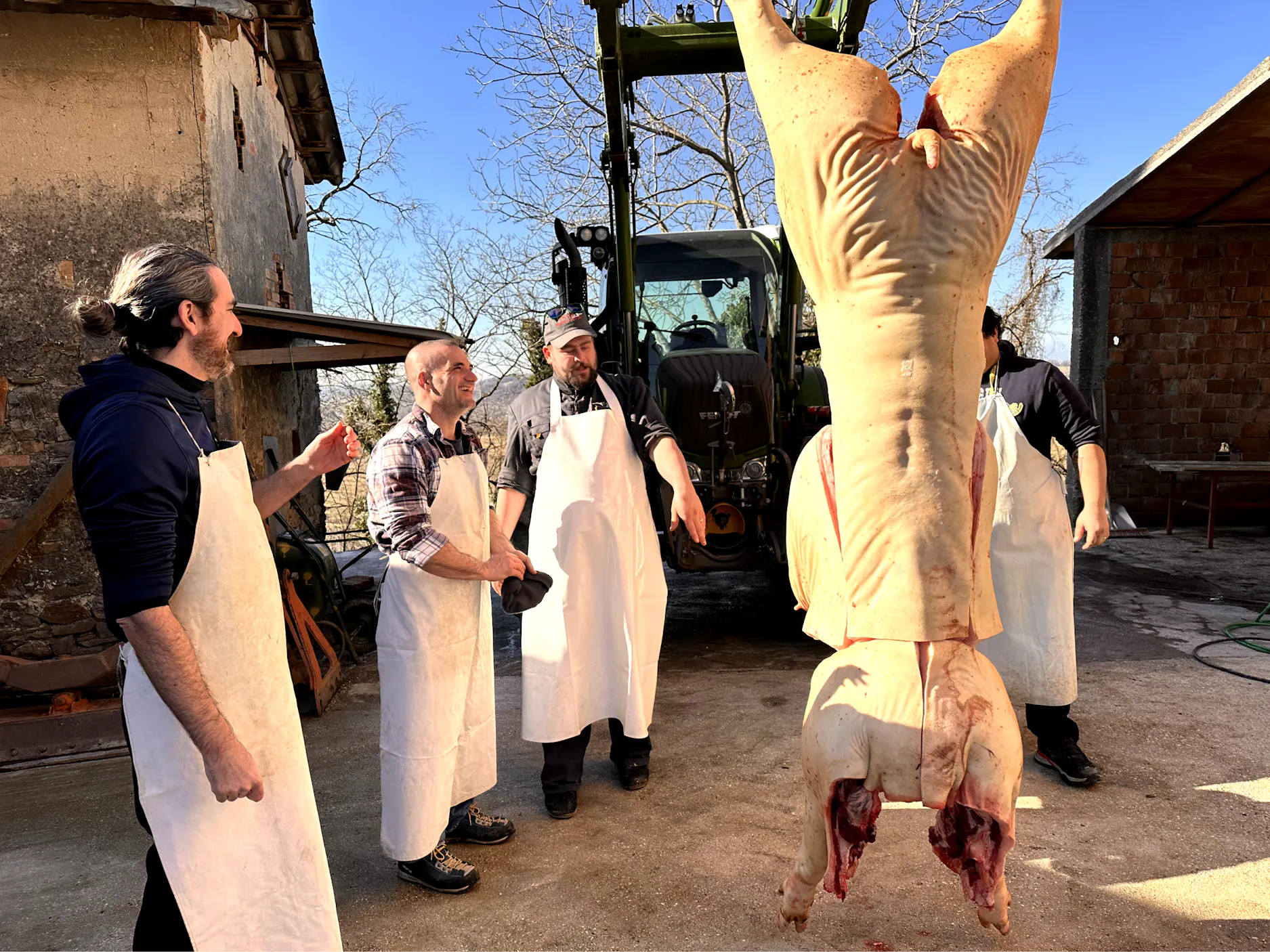 štirje moški v belih predpasnikih stojijo okrog zaklanega prašiča